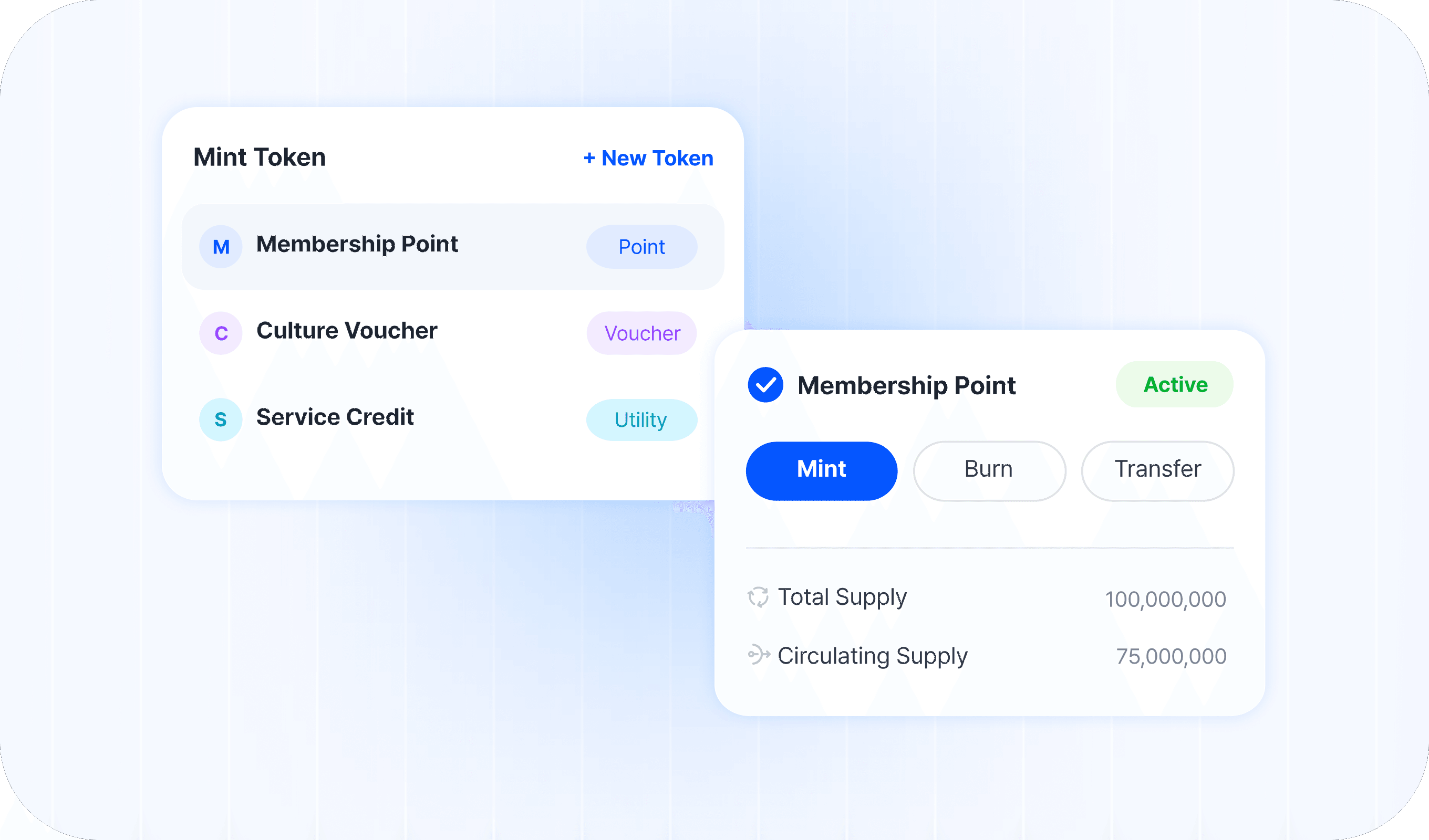 Token Issuance &
Lifecycle Operation